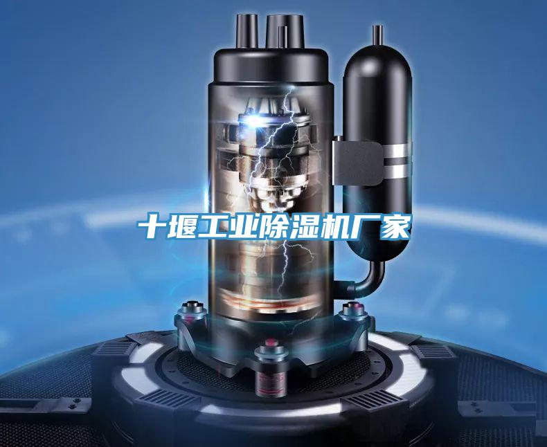 十堰工业小黄片直播视频厂家