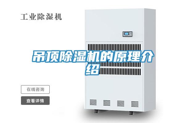 吊顶小黄片直播视频的原理介绍