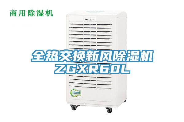 全热交换新风小黄片直播视频ZGXR60L