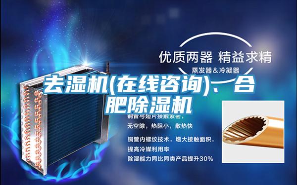 去湿机(在线咨询)、合肥小黄片直播视频