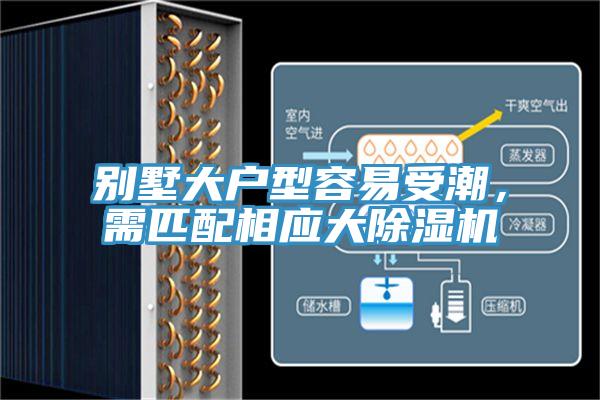 别墅大户型容易受潮，需匹配相应大小黄片直播视频