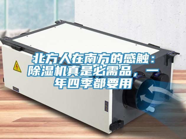北方人在南方的感触：小黄片直播视频真是必需品，一年四季都要用