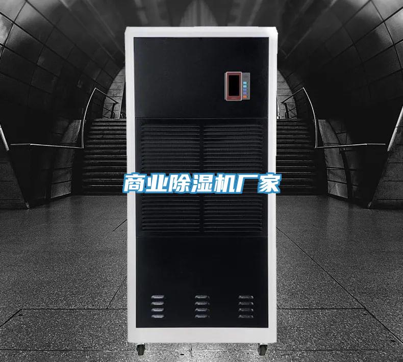 商业小黄片直播视频厂家