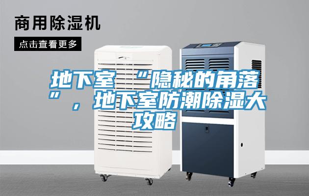 地下室≠“隐秘的角落”，地下室防潮除湿大攻略