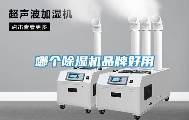 哪个小黄片直播视频品牌好用