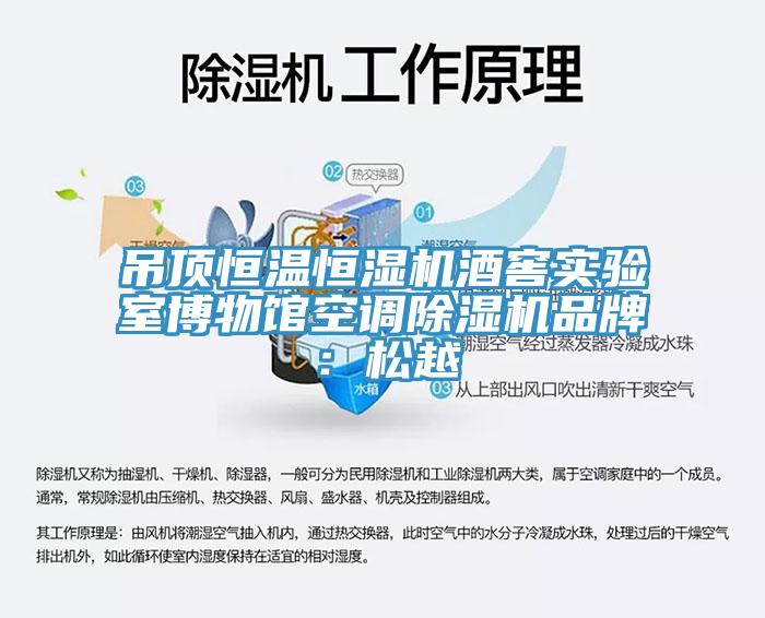吊顶恒温恒湿机酒窖实验室博物馆空调小黄片直播视频品牌：松越