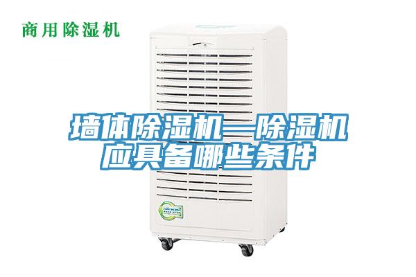 墙体小黄片直播视频—小黄片直播视频应具备哪些条件