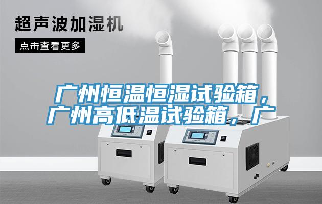 广州恒温恒湿试验箱，广州高低温试验箱，广