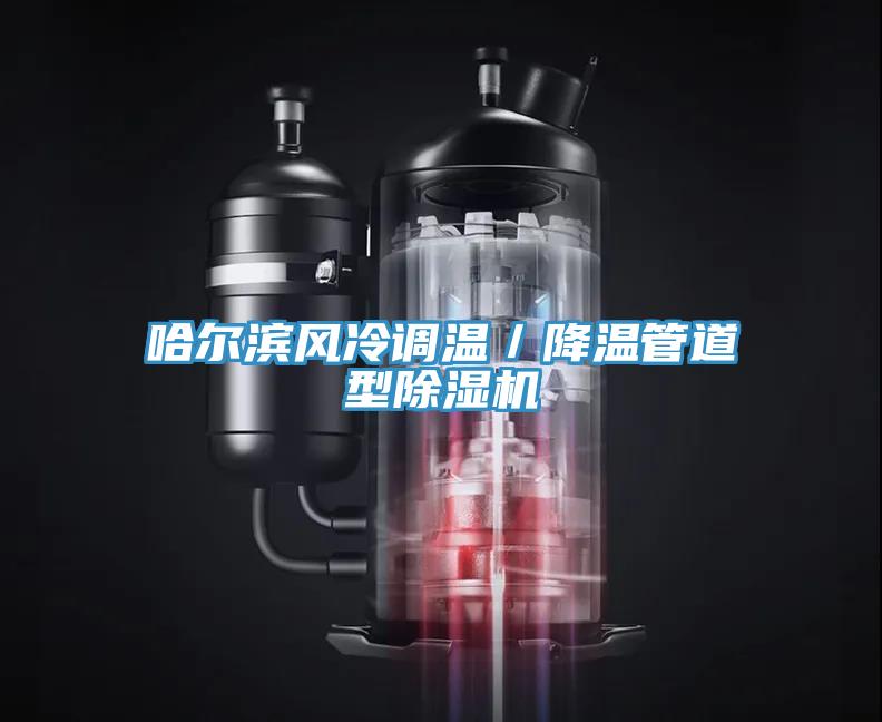 哈尔滨风冷调温／降温管道型小黄片直播视频