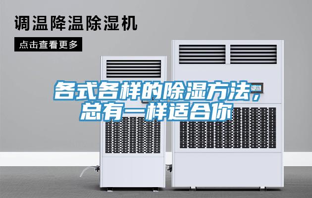 各式各样的除湿方法，总有一样适合你