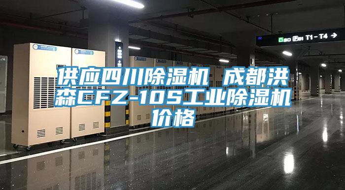 供应四川小黄片直播视频 成都洪森CFZ-10S工业小黄片直播视频价格