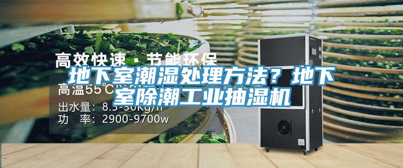 地下室潮湿处理方法？地下室除潮工业抽湿机