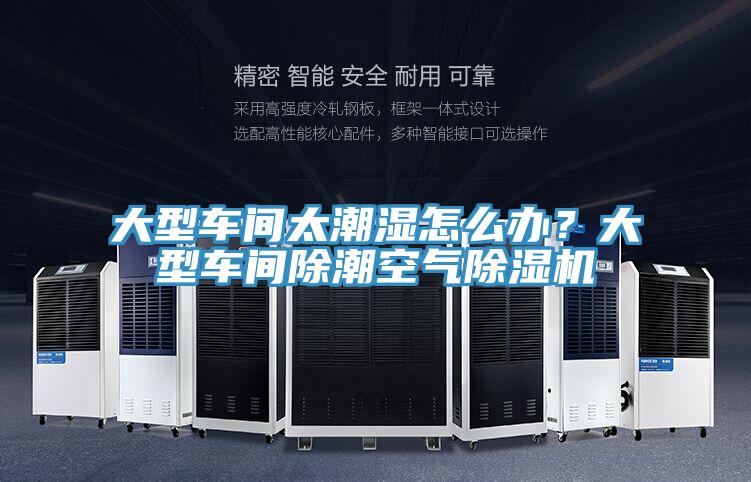 大型车间太潮湿怎么办？大型车间除潮空气小黄片直播视频