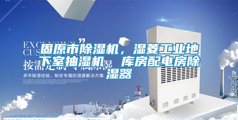 固原市小黄片直播视频，湿菱工业地下室抽湿机  库房配电房除湿器