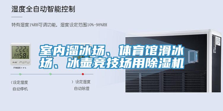 室内溜冰场、体育馆滑冰场、冰壶竞技场用小黄片直播视频