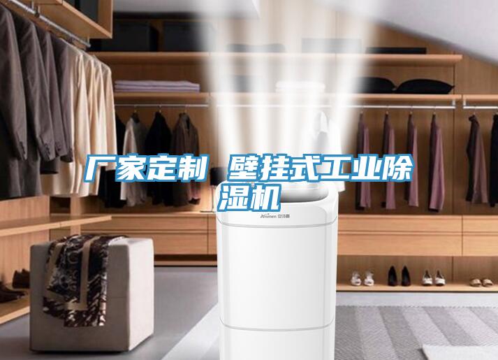 厂家定制 壁挂式工业小黄片直播视频