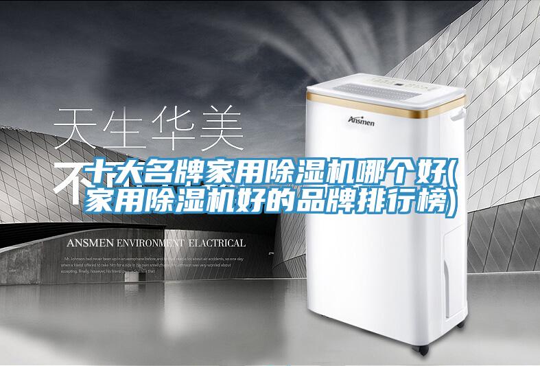 十大名牌家用小黄片直播视频哪个好(家用小黄片直播视频好的品牌排行榜)
