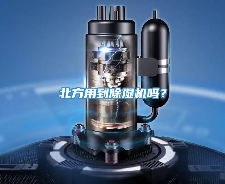 北方用到小黄片直播视频吗？