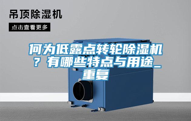 何为低露点转轮小黄片直播视频？有哪些特点与用途_重复