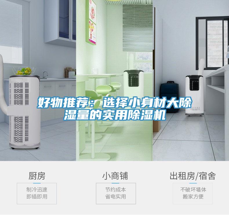 好物推荐：选择小身材大除湿量的实用小黄片直播视频