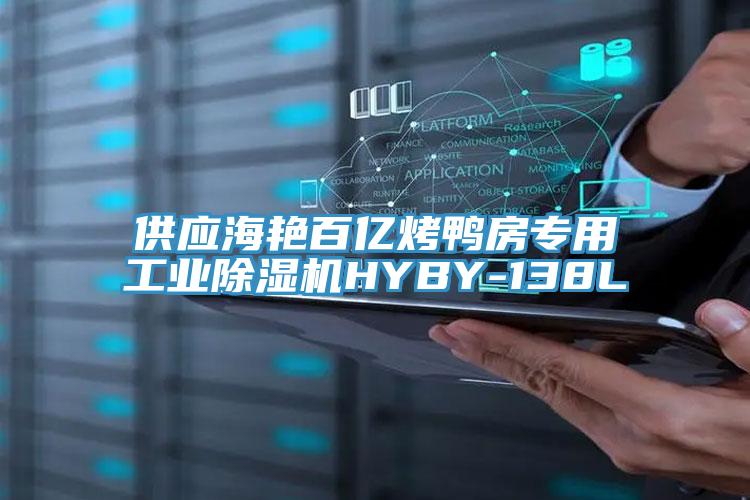 供应海艳百亿烤鸭房专用工业小黄片直播视频HYBY-138L