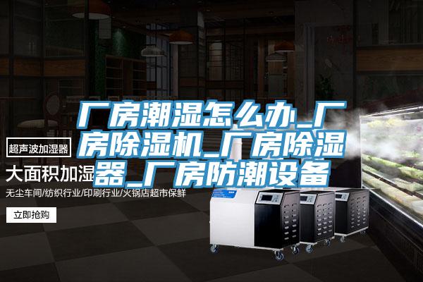 厂房潮湿怎么办_厂房小黄片直播视频_厂房除湿器_厂房防潮设备