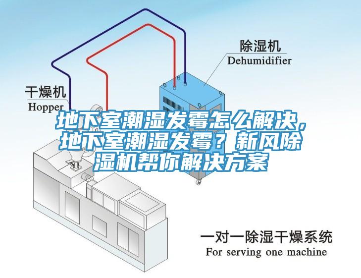 地下室潮湿发霉怎么解决，地下室潮湿发霉？新风小黄片直播视频帮你解决方案