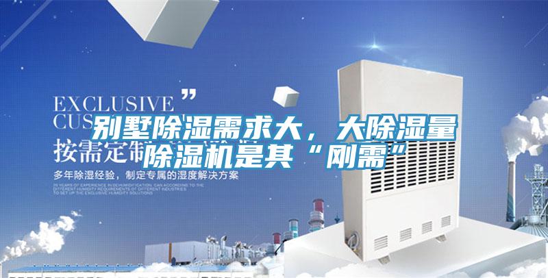 别墅除湿需求大，大除湿量小黄片直播视频是其“刚需”