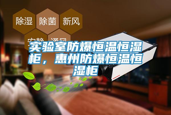 实验室防爆恒温恒湿柜，惠州防爆恒温恒湿柜
