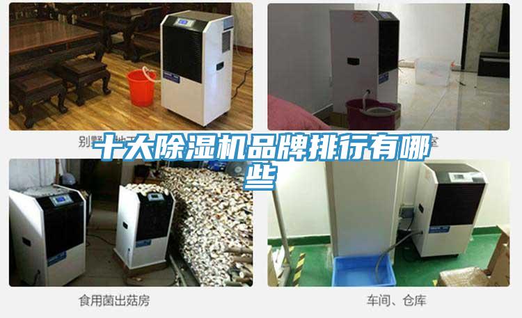 十大小黄片直播视频品牌排行有哪些