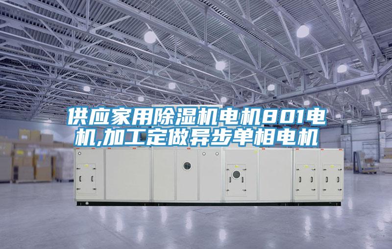 供应家用小黄片直播视频电机801电机,加工定做异步单相电机