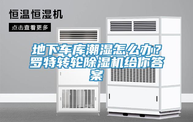 地下车库潮湿怎么办？罗特转轮小黄片直播视频给你答案
