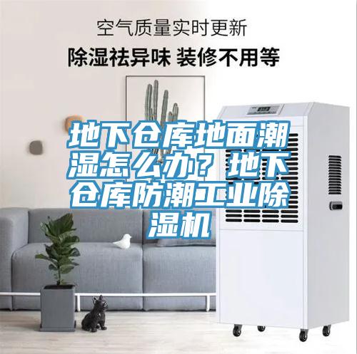 地下仓库地面潮湿怎么办？地下仓库防潮工业小黄片直播视频