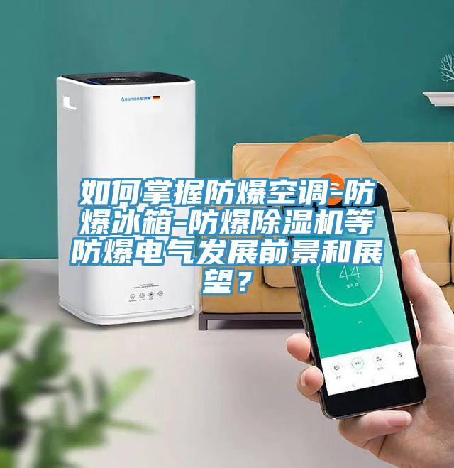 如何掌握防爆空调-防爆冰箱-防爆小黄片直播视频等防爆电气发展前景和展望？
