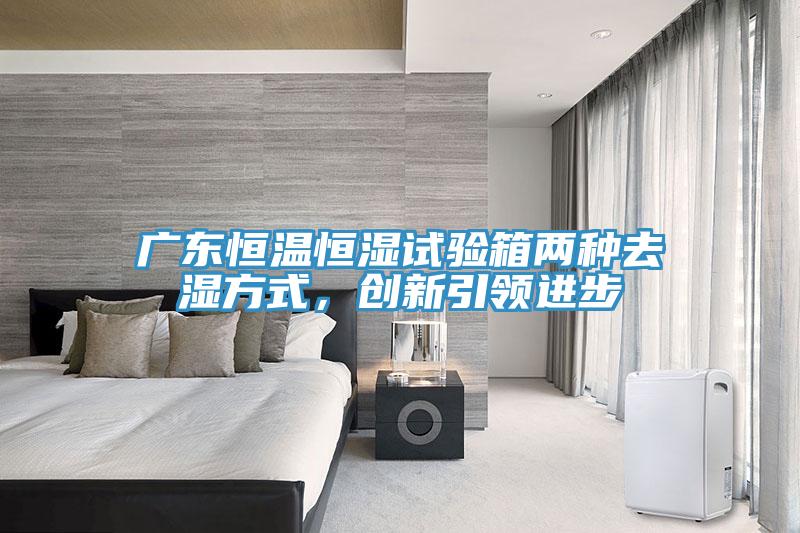广东恒温恒湿试验箱两种去湿方式，创新引领进步