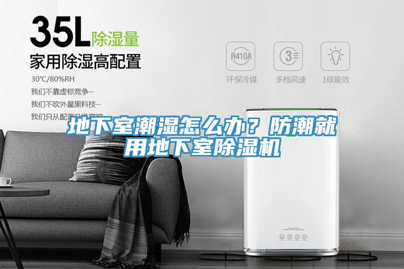 地下室潮湿怎么办？防潮就用地下室小黄片直播视频