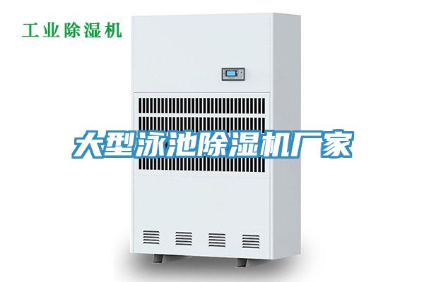 大型泳池小黄片直播视频厂家