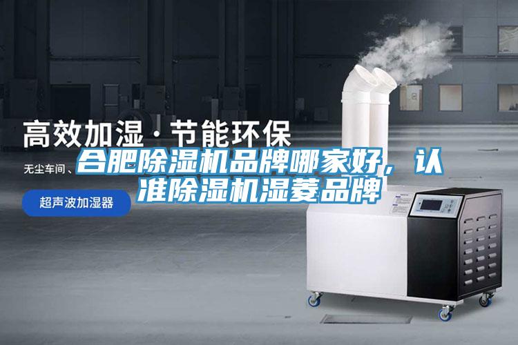 合肥小黄片直播视频品牌哪家好，认准小黄片直播视频湿菱品牌