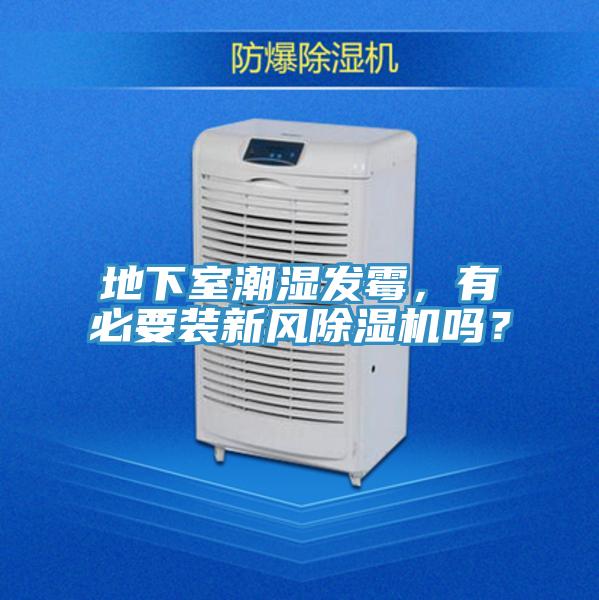 地下室潮湿发霉，有必要装新风小黄片直播视频吗？