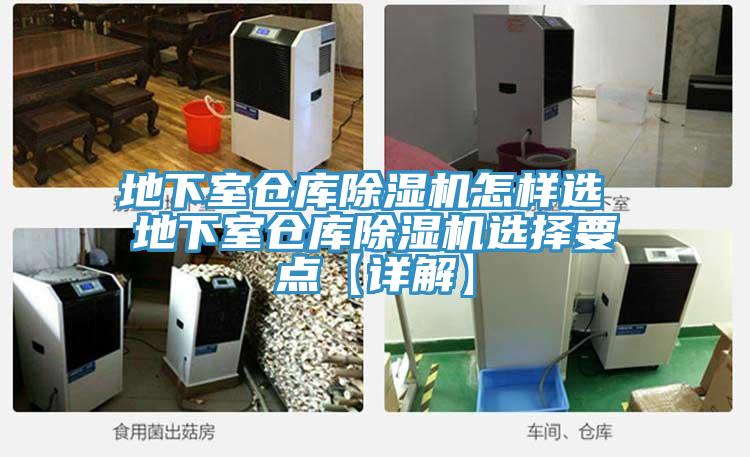 地下室仓库小黄片直播视频怎样选 地下室仓库小黄片直播视频选择要点【详解】