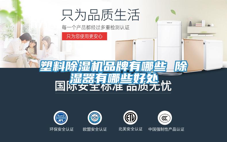 塑料小黄片直播视频品牌有哪些 除湿器有哪些好处