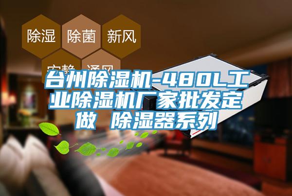 台州小黄片直播视频-480L工业小黄片直播视频厂家批发定做 除湿器系列