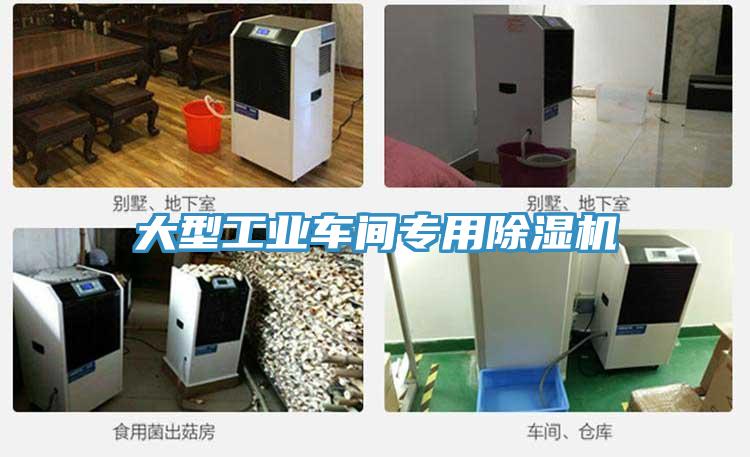大型工业车间专用小黄片直播视频