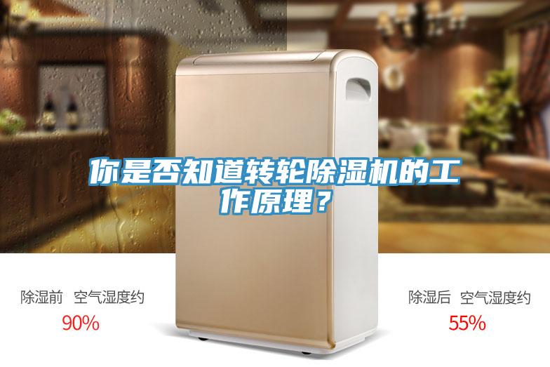 你是否知道转轮小黄片直播视频的工作原理？