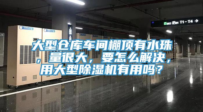 大型仓库车间棚顶有水珠，量很大，要怎么解决，用大型小黄片直播视频有用吗？