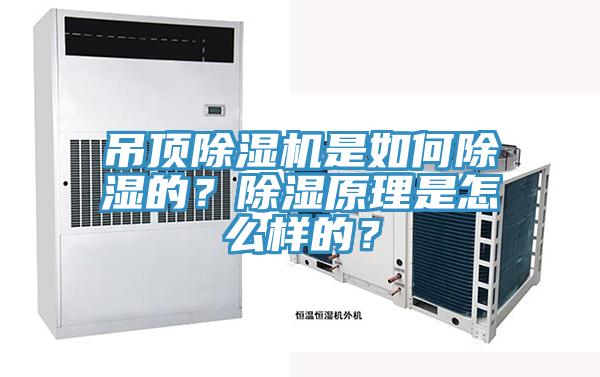吊顶小黄片直播视频是如何除湿的？除湿原理是怎么样的？