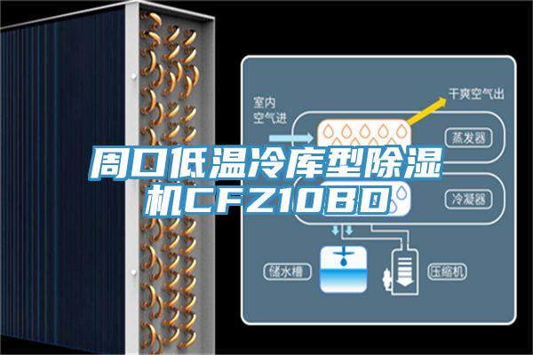 周口低温冷库型小黄片直播视频CFZ10BD