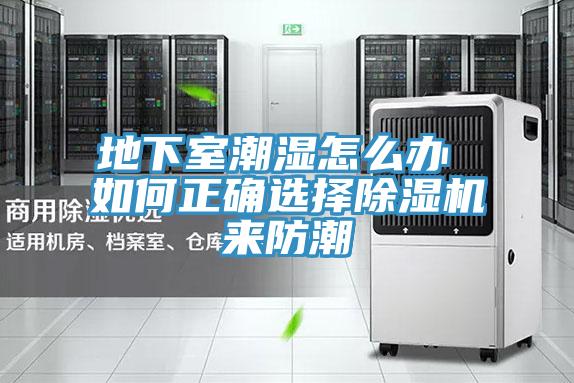 地下室潮湿怎么办 如何正确选择小黄片直播视频来防潮