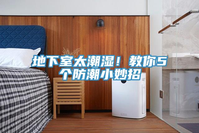 地下室太潮湿！教你5个防潮小妙招