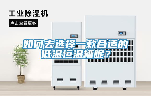 如何去选择一款合适的低温恒温槽呢？